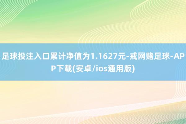足球投注入口累计净值为1.1627元-戒网赌足球-APP下载(安卓/ios通用版)