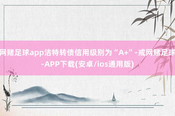 网赌足球app洁特转债信用级别为“A+”-戒网赌足球-APP下载(安卓/ios通用版)