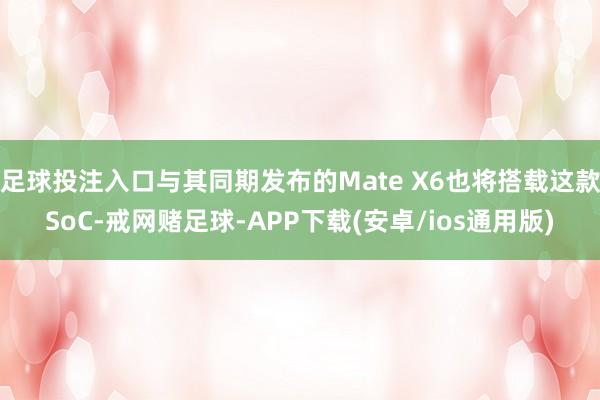 足球投注入口与其同期发布的Mate X6也将搭载这款SoC-戒网赌足球-APP下载(安卓/ios通用版)