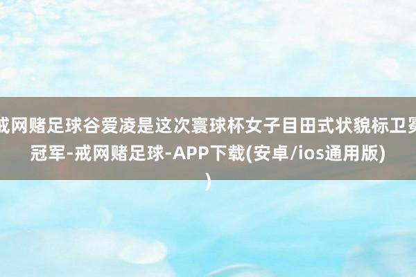 戒网赌足球谷爱凌是这次寰球杯女子目田式状貌标卫冕冠军-戒网赌足球-APP下载(安卓/ios通用版)