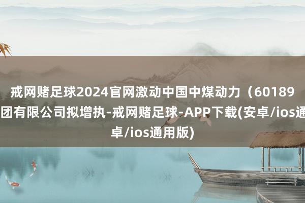 戒网赌足球2024官网激动中国中煤动力（601898）集团有限公司拟增执-戒网赌足球-APP下载(安卓/ios通用版)