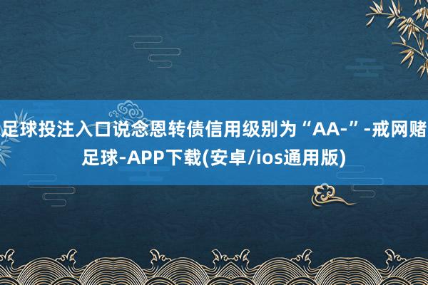 足球投注入口说念恩转债信用级别为“AA-”-戒网赌足球-APP下载(安卓/ios通用版)