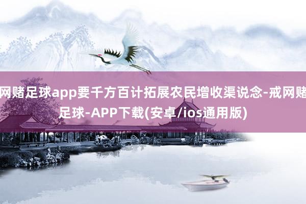 网赌足球app要千方百计拓展农民增收渠说念-戒网赌足球-APP下载(安卓/ios通用版)