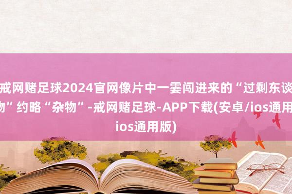 戒网赌足球2024官网像片中一霎闯进来的“过剩东谈主物”约略“杂物”-戒网赌足球-APP下载(安卓/ios通用版)