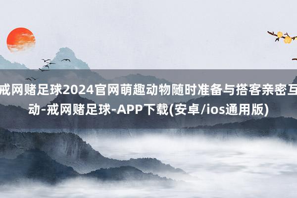 戒网赌足球2024官网萌趣动物随时准备与搭客亲密互动-戒网赌足球-APP下载(安卓/ios通用版)