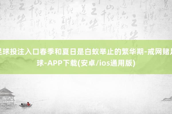 足球投注入口春季和夏日是白蚁举止的繁华期-戒网赌足球-APP下载(安卓/ios通用版)