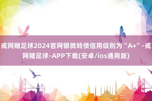 戒网赌足球2024官网银微转债信用级别为“A+”-戒网赌足球-APP下载(安卓/ios通用版)
