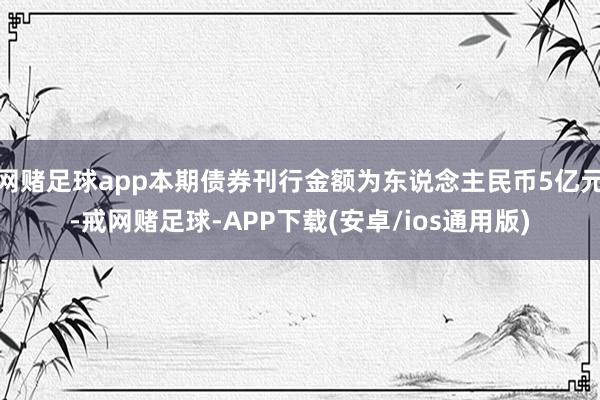 网赌足球app本期债券刊行金额为东说念主民币5亿元-戒网赌足球-APP下载(安卓/ios通用版)