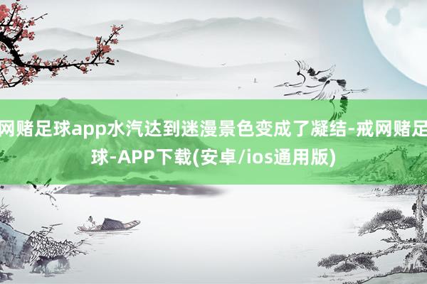 网赌足球app水汽达到迷漫景色变成了凝结-戒网赌足球-APP下载(安卓/ios通用版)