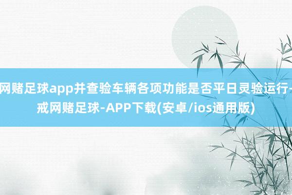 网赌足球app并查验车辆各项功能是否平日灵验运行-戒网赌足球-APP下载(安卓/ios通用版)