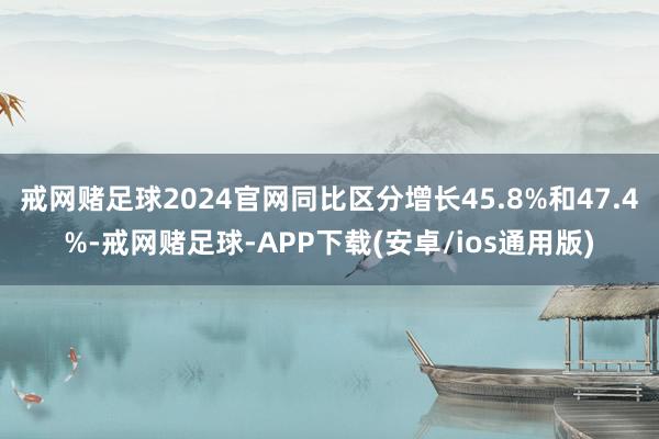 戒网赌足球2024官网同比区分增长45.8%和47.4%-戒网赌足球-APP下载(安卓/ios通用版)