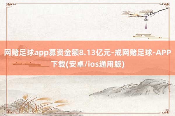 网赌足球app募资金额8.13亿元-戒网赌足球-APP下载(安卓/ios通用版)
