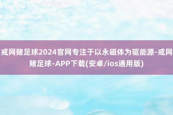戒网赌足球2024官网专注于以永磁体为驱能源-戒网赌足球-APP下载(安卓/ios通用版)