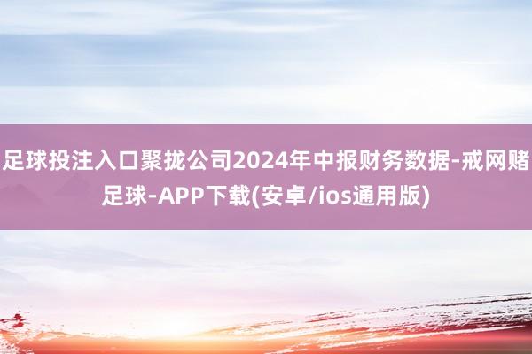 足球投注入口聚拢公司2024年中报财务数据-戒网赌足球-APP下载(安卓/ios通用版)