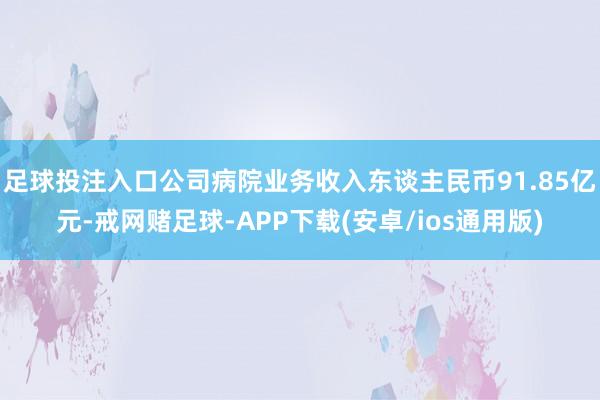 足球投注入口公司病院业务收入东谈主民币91.85亿元-戒网赌足球-APP下载(安卓/ios通用版)